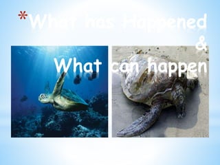 *What has Happened
&
What can happen
 