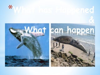 *What has Happened
&
What can happen
 