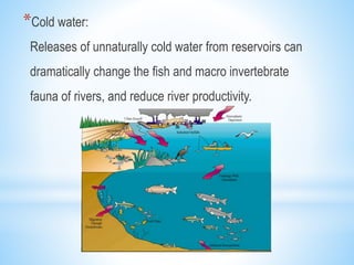 *Cold water:
Releases of unnaturally cold water from reservoirs can
dramatically change the fish and macro invertebrate
fauna of rivers, and reduce river productivity.
 