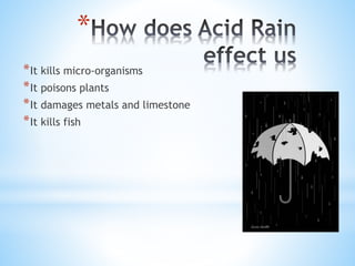 *
*It kills micro-organisms
*It poisons plants
*It damages metals and limestone
*It kills fish
 