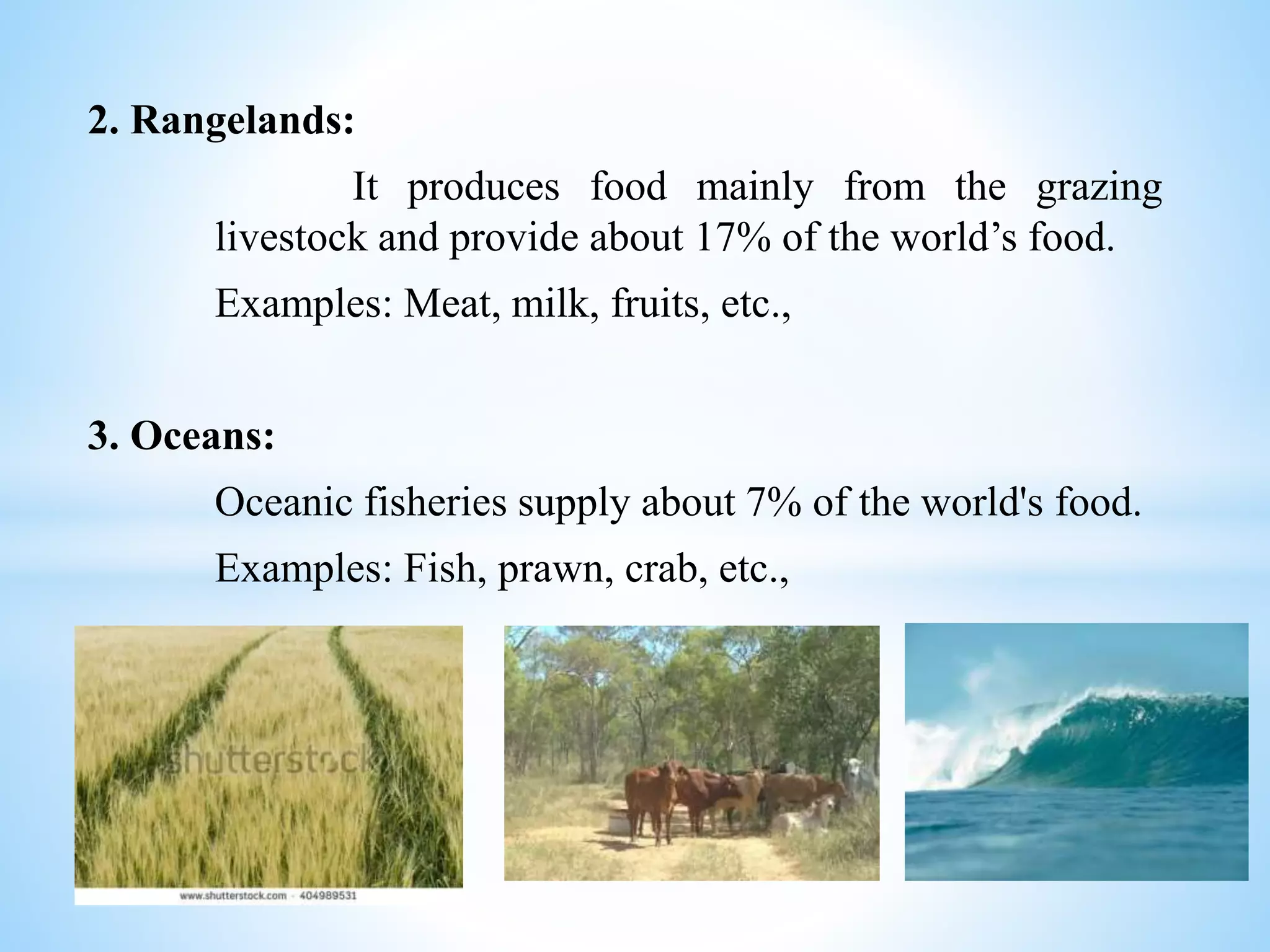 2. Rangelands:
It produces food mainly from the grazing
livestock and provide about 17% of the world’s food.
Examples: Meat, milk, fruits, etc.,
3. Oceans:
Oceanic fisheries supply about 7% of the world's food.
Examples: Fish, prawn, crab, etc.,
 