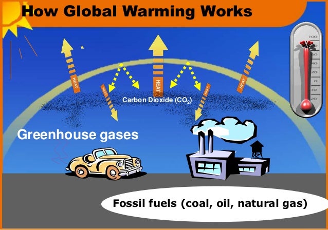 global warming project pdf class 11