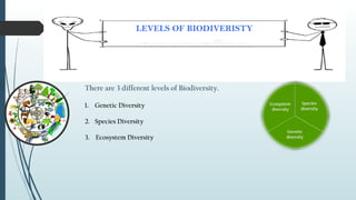 LEVELS OF BIODIVERISTY
There are 3 different levels of Biodiversity.
1. Genetic Diversity
2. Species Diversity
3. Ecosystem Diversity
 