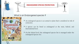 ENDANGERED SPECIES PROTECTION
What is an Endangered species ?
 An endangered species is an animal or plant that’s considered at risk of
extinction.
 A species can be listed as endangered at the state, federal, and
international level.
 On the federal level, the endangered species list is managed under the
endangered species Act.
 