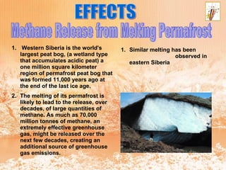 EFFECTS Methane Release from Melting Permafrost  Western Siberia is the world's largest peat bog, (a wetland type that accumulates acidic peat) a one million square kilometer region of permafrost peat bog that was formed 11,000 years ago at the end of the last ice age.  The melting of its permafrost is likely to lead to the release, over decades, of large quantities of methane. As much as 70,000 million tonnes of methane, an extremely effective greenhouse gas, might be released over the next few decades, creating an additional source of greenhouse gas emissions. Similar melting has been  observed in eastern Siberia 