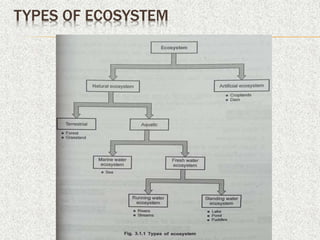 Ecosphere Types Ecosystem and Environment, GE3451 Environmental Science | PPTX