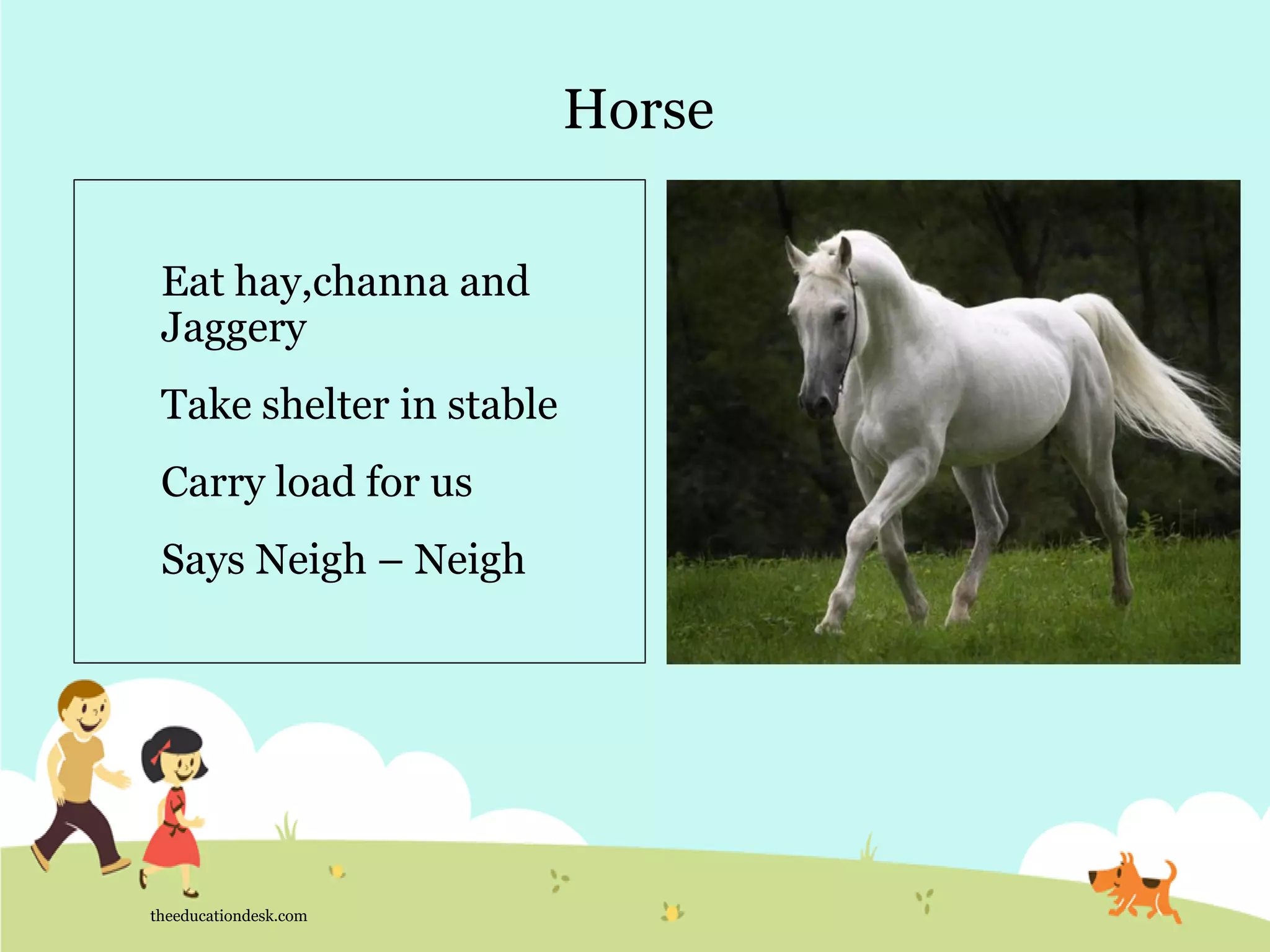 Horse
theeducationdesk.com
Eat hay,channa and
Jaggery
Take shelter in stable
Carry load for us
Says Neigh – Neigh
 