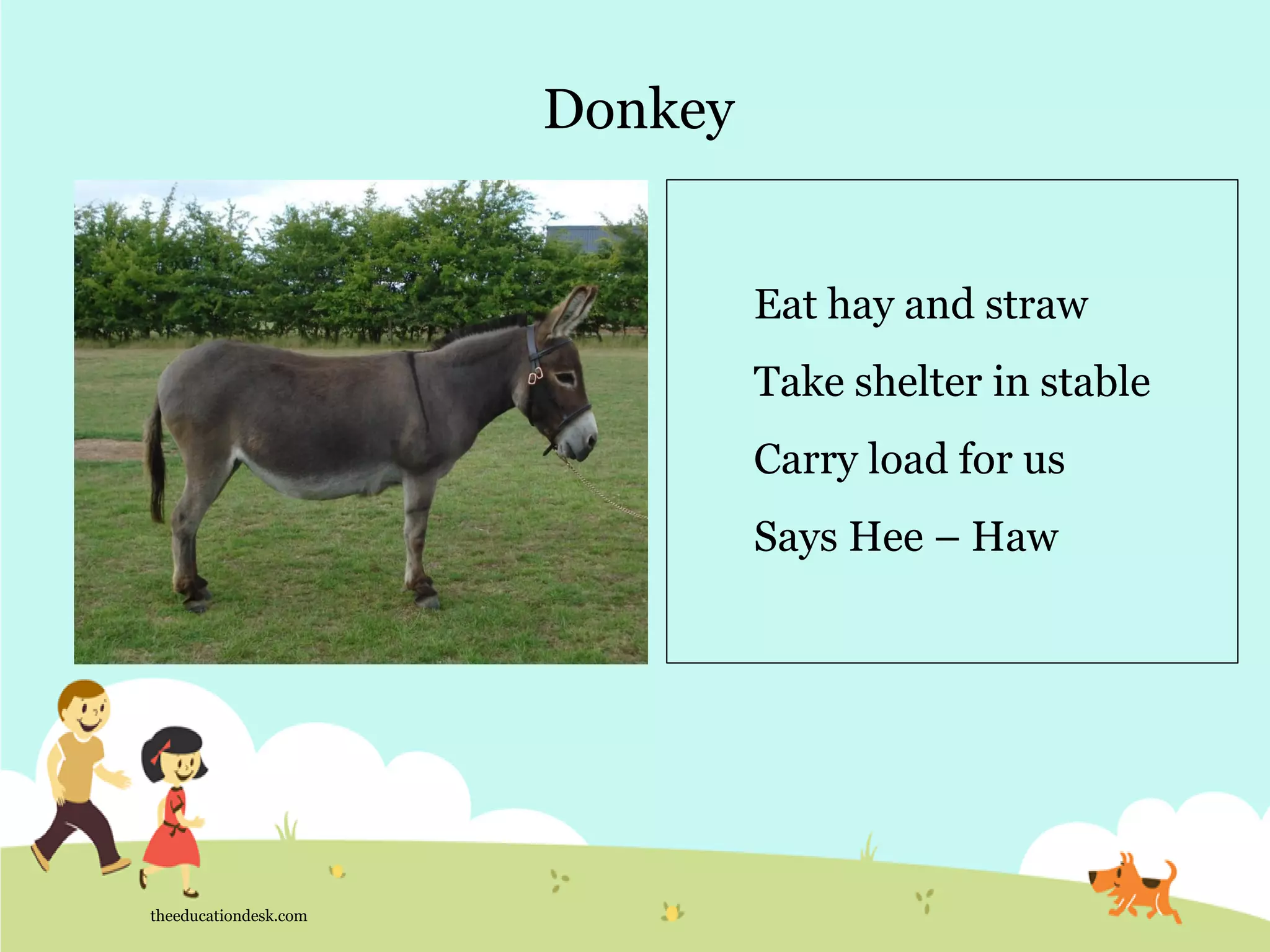 Donkey
theeducationdesk.com
Eat hay and straw
Take shelter in stable
Carry load for us
Says Hee – Haw
 