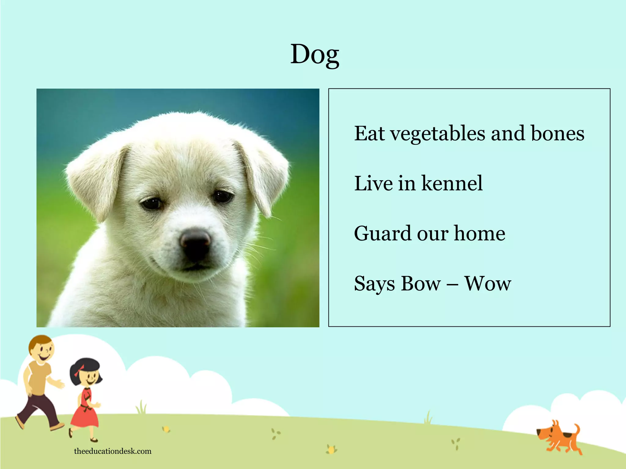 Dog
theeducationdesk.com
Eat vegetables and bones
Live in kennel
Guard our home
Says Bow – Wow
 