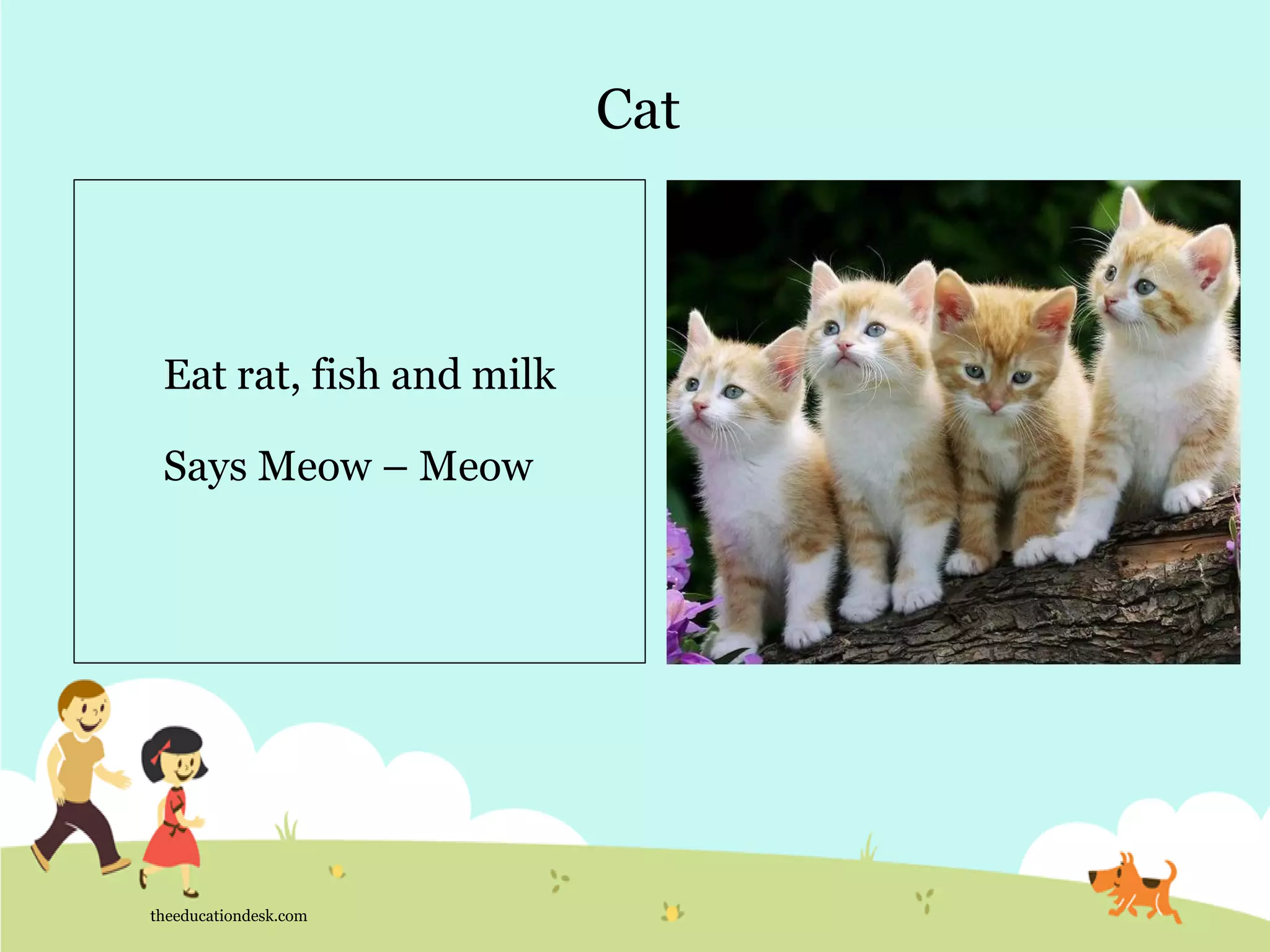 Cat
theeducationdesk.com
Eat rat, fish and milk
Says Meow – Meow
 