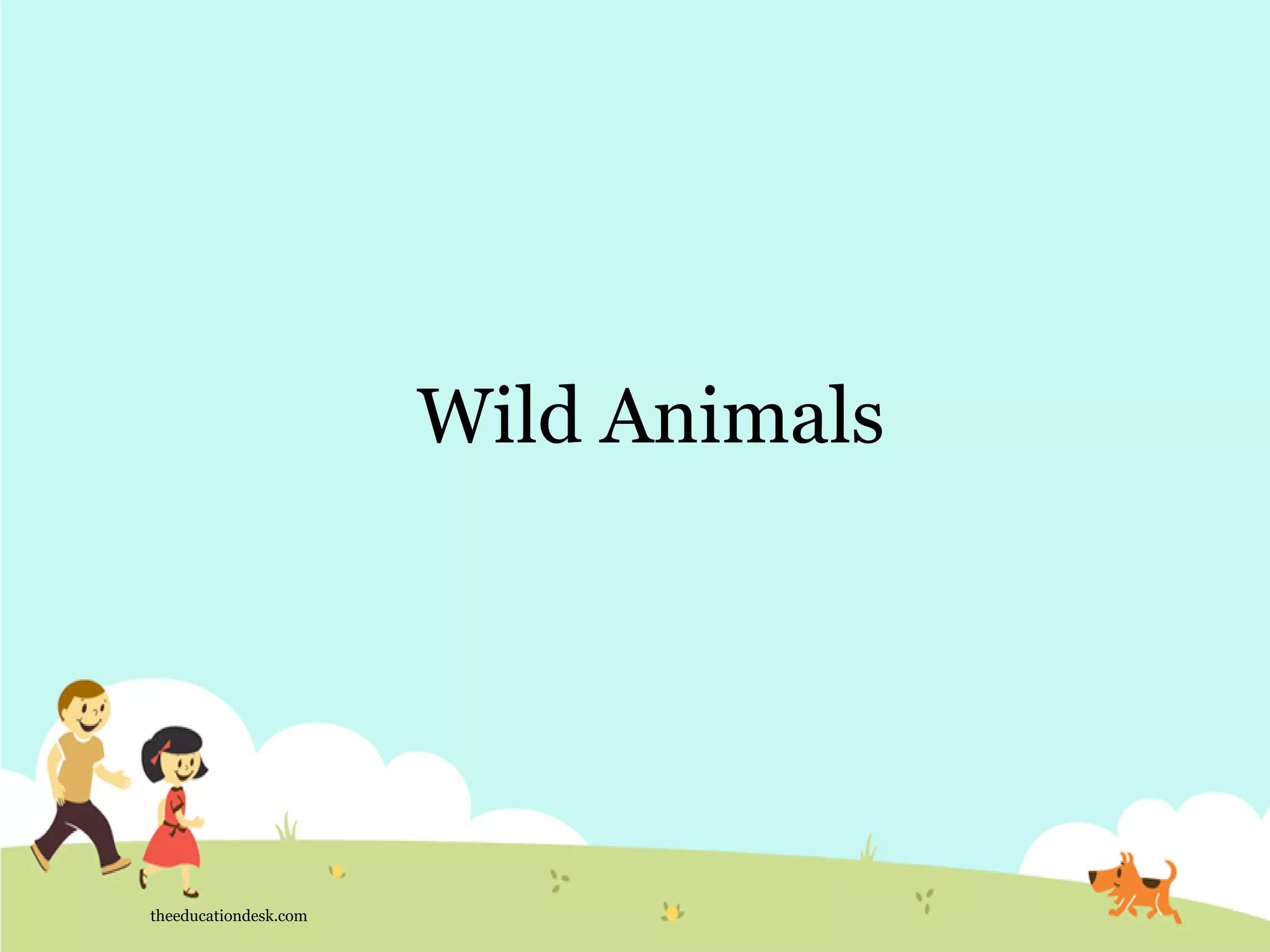 Wild Animals
theeducationdesk.com
 