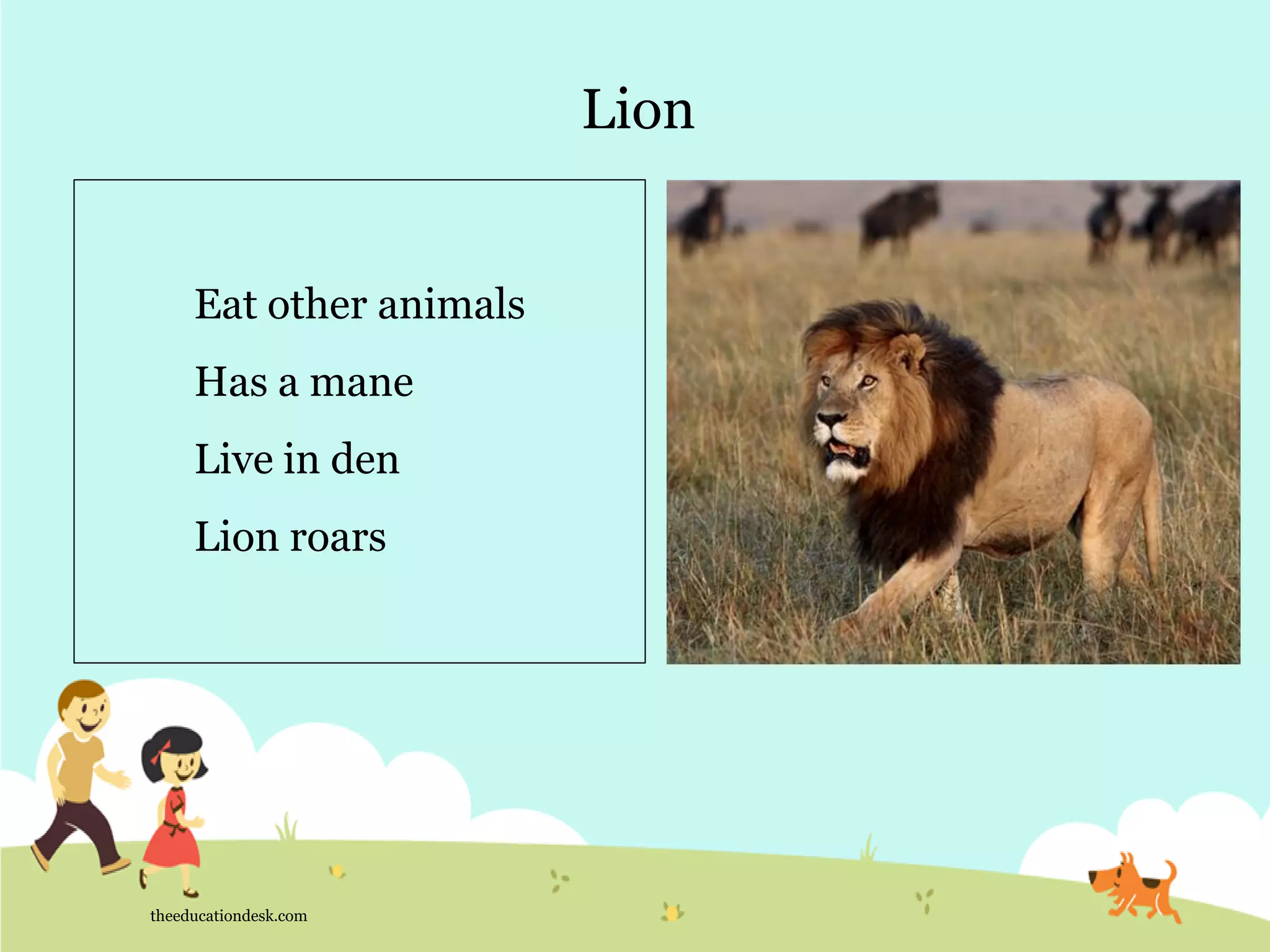 Environmental Science (EVS) : Animals (Class I) | PDF