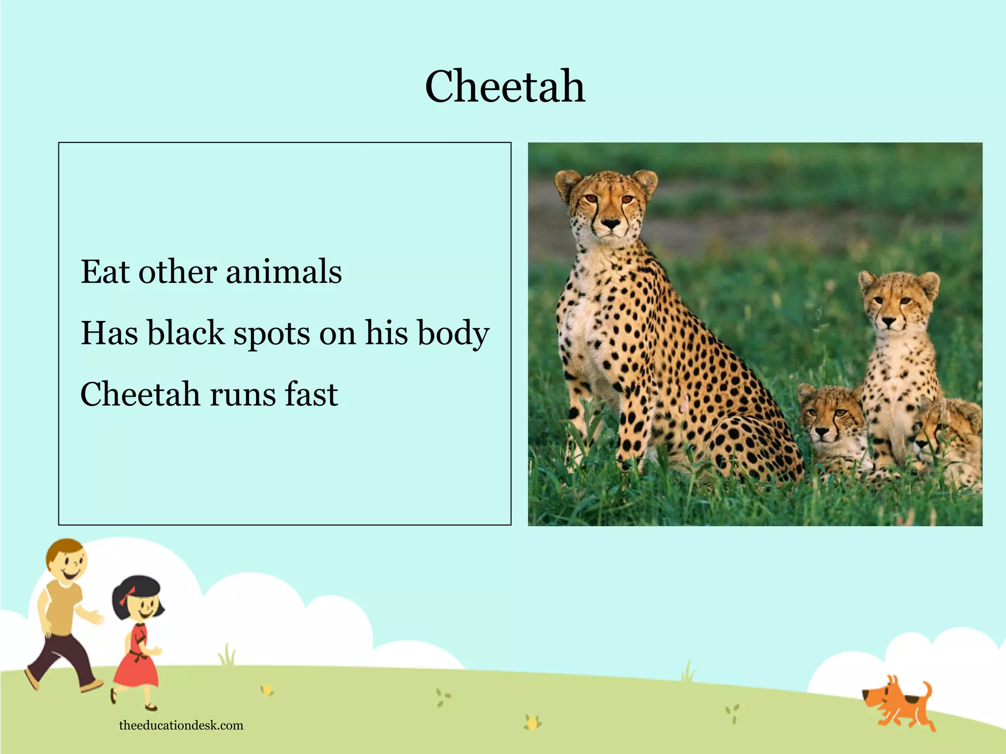 Cheetah
theeducationdesk.com
Eat other animals
Has black spots on his body
Cheetah runs fast
 