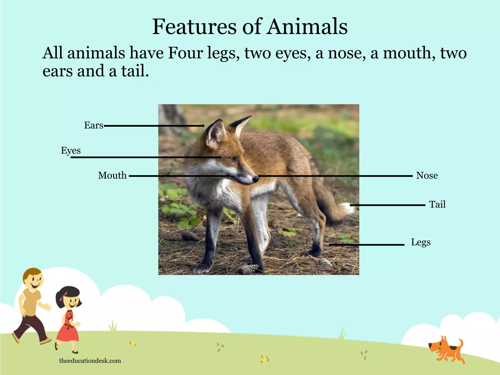 theeducationdesk.com
Features of Animals
All animals have Four legs, two eyes, a nose, a mouth, two
ears and a tail.
Mouth
Ears
Legs
Tail
Eyes
Nose
 