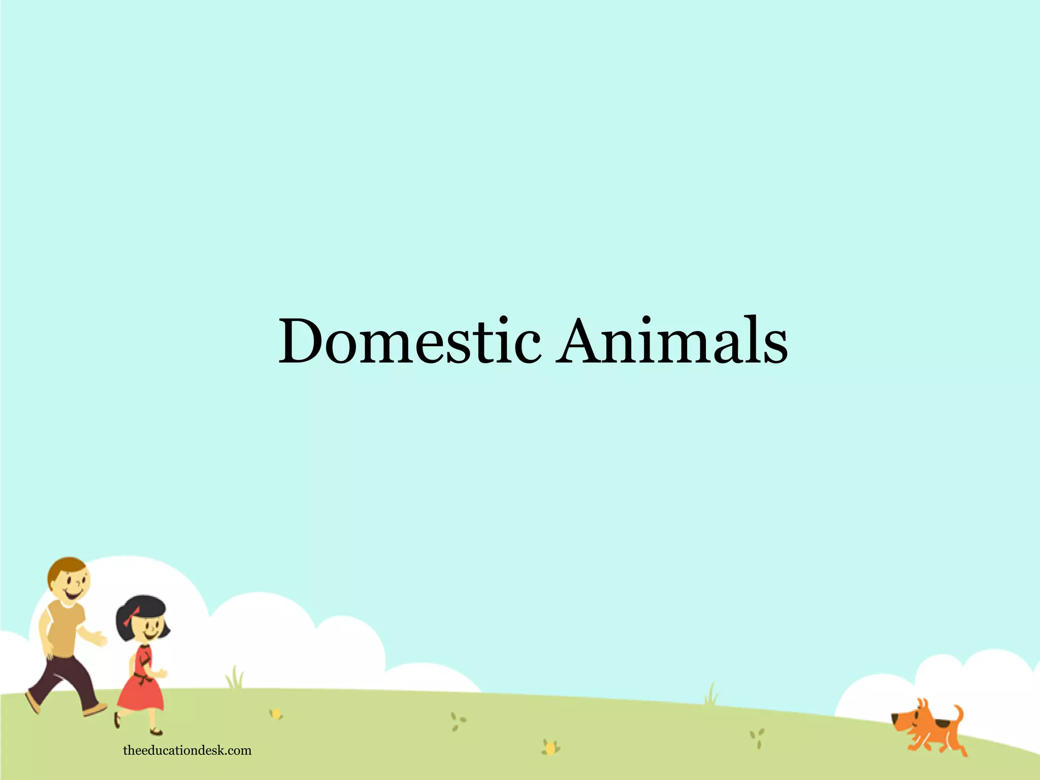 Domestic Animals
theeducationdesk.com
 