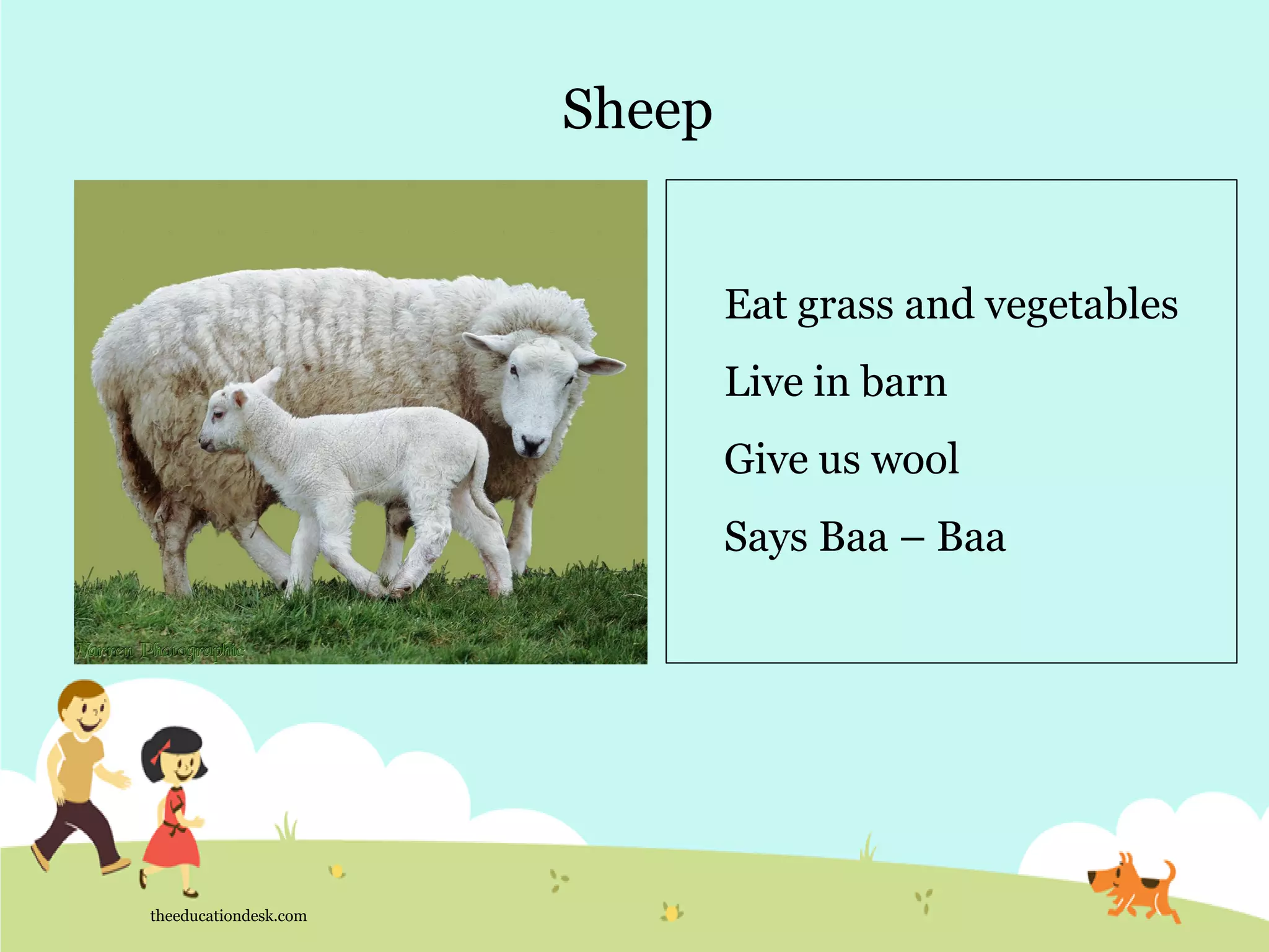 Environmental Science (EVS) : Animals (Class I) | PDF