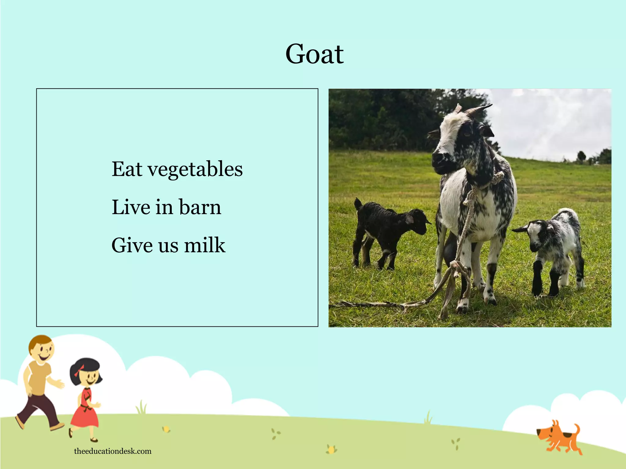 Goat
theeducationdesk.com
Eat vegetables
Live in barn
Give us milk
 