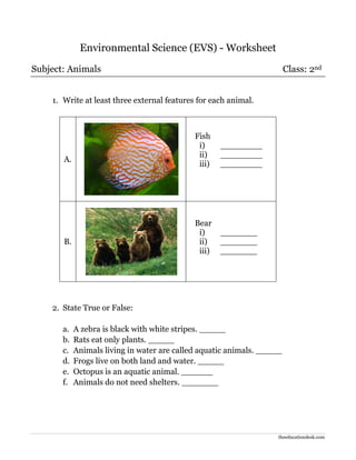 theeducationdesk.com
Environmental Science (EVS) - Worksheet
Subject: Animals Class: 2nd
1. Write at least three external features for each animal.
A.
Fish
i) ________
ii) ________
iii) ________
B.
Bear
i) _______
ii) _______
iii) _______
2. State True or False:
a. A zebra is black with white stripes. _____
b. Rats eat only plants. _____
c. Animals living in water are called aquatic animals. _____
d. Frogs live on both land and water. _____
e. Octopus is an aquatic animal. ______
f. Animals do not need shelters. _______
 
