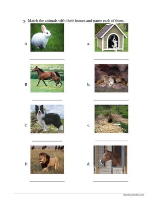 theeducationdesk.com
3. Match the animals with their homes and name each of them.
A
_______________
a.
_______________
B
_____________
b.
_______________
C
_____________
c.
______________
D
_______________
d.
_______________
 
