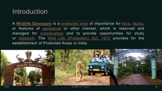 A Wildlife Sanctuary is a protected area of importance for flora, fauna,
or features of geological or other interest, which is reserved and
managed for conservation and to provide opportunities for study
or research. The Wild Life (Protection) Act, 1972 provides for the
establishment of Protected Areas in India.
 