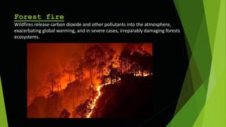 Forest fire
Wildfires release carbon dioxide and other pollutants into the atmosphere,
exacerbating global warming, and in severe cases, irreparably damaging forests
ecosystems.
 