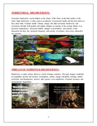 THREATS AND CONSERVATION OF TERESTIAL AND AQUATIC BIODIVERSITY | DOCX