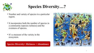 SPECIES ABUNDANCE AND RICHNESS IN ECOSYSTEM | PPTX