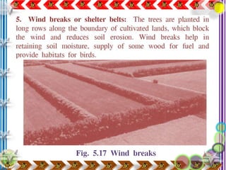 environmental science - natural resources