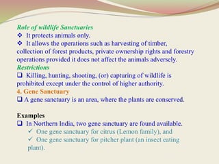 Role of wildlife Sanctuaries
 It protects animals only.
 It allows the operations such as harvesting of timber,
collection of forest products, private ownership rights and forestry
operations provided it does not affect the animals adversely.
Restrictions
 Killing, hunting, shooting, (or) capturing of wildlife is
prohibited except under the control of higher authority.
4. Gene Sanctuary
 A gene sanctuary is an area, where the plants are conserved.
Examples
 In Northern India, two gene sanctuary are found available.
 One gene sanctuary for citrus (Lemon family), and
 One gene sanctuary for pitcher plant (an insect eating
plant).
 