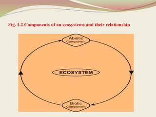 Fig. 1.2 Components of an ecosystems and their relationship
 