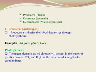  Producers (Plants).
 Consumer (Animals).
 Decomposers (Micro-organisms).
1. Producers (Autotrophs):
 Producers synthesize their food themselves through
photosynthesis.
Examples All green plants, trees.
Photosynthesis
 The green pigments called chlorophyll, present in the leaves of
plants, converts CO and H O in the presence of sunlight into
carbohydrates.
2 2
 