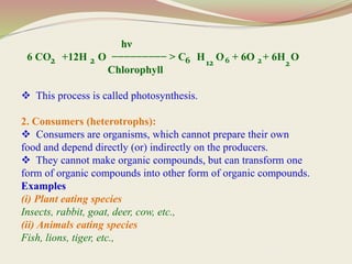  This process is called photosynthesis.
2. Consumers (heterotrophs):
 Consumers are organisms, which cannot prepare their own
food and depend directly (or) indirectly on the producers.
 They cannot make organic compounds, but can transform one
form of organic compounds into other form of organic compounds.
Examples
(i) Plant eating species
Insects, rabbit, goat, deer, cow, etc.,
(ii) Animals eating species
Fish, lions, tiger, etc.,
hν
6 CO +12H O −−−−−−−−− > C H O + 6O + 6H O
Chlorophyll
2 2 6 12 6 2 2
 