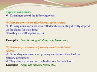 Types of consumers
 Consumers are of the following types.
(i) Primary consumers (Herbivores) (plant eaters)
 Primary consumers are also called herbivores, they directly depend
on the plants for their food.
So they are called plant eaters.
Examples Insects, rat, goat, deer, cow, horse, etc.,
(ii) Secondary consumers (primary carnivores) (meat
eaters)
 Secondary consumers are primary carnivores, they feed on
primary consumers.
 They directly depend on the herbivores for their food.
Examples Frog, cat, snakes, foxes, etc..,
 