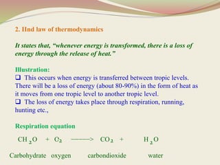 2. IInd law of thermodynamics
It states that, “whenever energy is transformed, there is a loss of
energy through the release of heat.”
Illustration:
 This occurs when energy is transferred between tropic levels.
There will be a loss of energy (about 80-90%) in the form of heat as
it moves from one tropic level to another tropic level.
 The loss of energy takes place through respiration, running,
hunting etc.,
Respiration equation
CH O + O −−−−−> CO + H O
Carbohydrate oxygen carbondioxide water
2 2 2 2
 