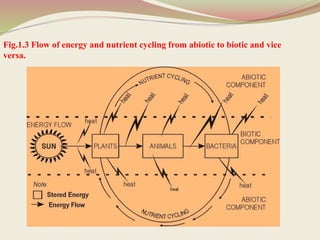 Fig.1.3 Flow of energy and nutrient cycling from abiotic to biotic and vice
versa.
 