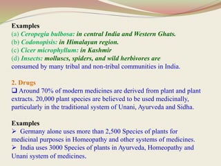 Examples
(a) Ceropegia bulbosa: in central India and Western Ghats.
(b) Codonopisis: in Himalayan region.
(c) Cicer microphyllum: in Kashmir
(d) Insects: molluscs, spiders, and wild herbivores are
consumed by many tribal and non-tribal communities in India.
2. Drugs
 Around 70% of modern medicines are derived from plant and plant
extracts. 20,000 plant species are believed to be used medicinally,
particularly in the traditional system of Unani, Ayurveda and Sidha.
Examples
 Germany alone uses more than 2,500 Species of plants for
medicinal purposes in Homeopathy and other systems of medicines.
 India uses 3000 Species of plants in Ayurveda, Homeopathy and
Unani system of medicines.
 