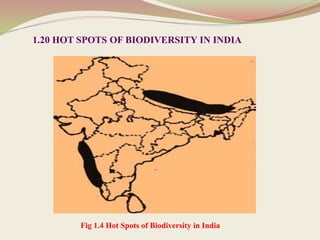 Fig 1.4 Hot Spots of Biodiversity in India
1.20 HOT SPOTS OF BIODIVERSITY IN INDIA
 