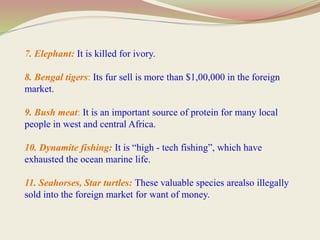 7. Elephant: It is killed for ivory.
8. Bengal tigers: Its fur sell is more than $1,00,000 in the foreign
market.
9. Bush meat: It is an important source of protein for many local
people in west and central Africa.
10. Dynamite fishing: It is “high - tech fishing”, which have
exhausted the ocean marine life.
11. Seahorses, Star turtles: These valuable species arealso illegally
sold into the foreign market for want of money.
 