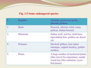 Fig. 1.5 Some endangered species
1. Reptiles Tortoise, green sea turtle,
gharial, python.
2. Birds Peacock, siberian white crane,
pelican, Indian bustard.
3. Mammals Indian wolf, red fox, sloth bear,
tiger,Indian lion, golden cat, desert
cat.
4. Primates Hoolock gibbon, lion-tailed
macaque, capped monkey, golden
monkey.
5. Plants A large number of medicinal plants
(like rauvol fia serpentina), sandal
wood tree (like santalum, cycas
bed donei).
 