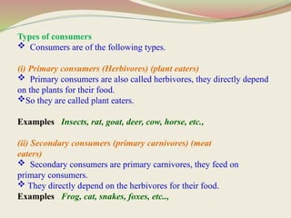 Consumers Example Specific Environmental Sciences and Sustainability | PPTX