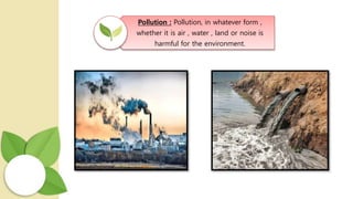 Environment Degradation | PPTX