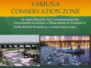 YAMUNA
CONSERVATION ZONE
In April 2014,The NGT recommended the
Government to declare a 52km stretch of Yamuna in
Delhi &Uttar Pradesh as a conservation zone.
 