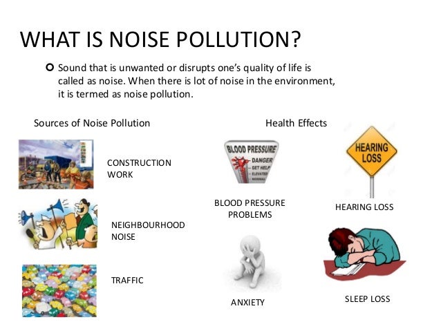 noise pollution case study pdf