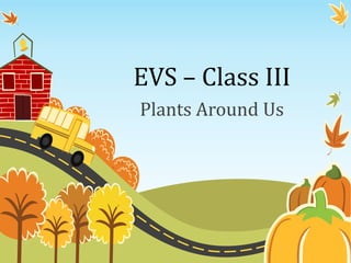 EVS – Class III
Plants Around Us
 