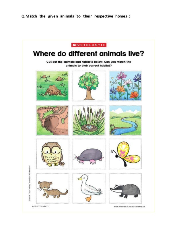 Evs 3 worksheet (Poonam #39 s day out) Evs 3 worksheet (Poonam #39 s day out)