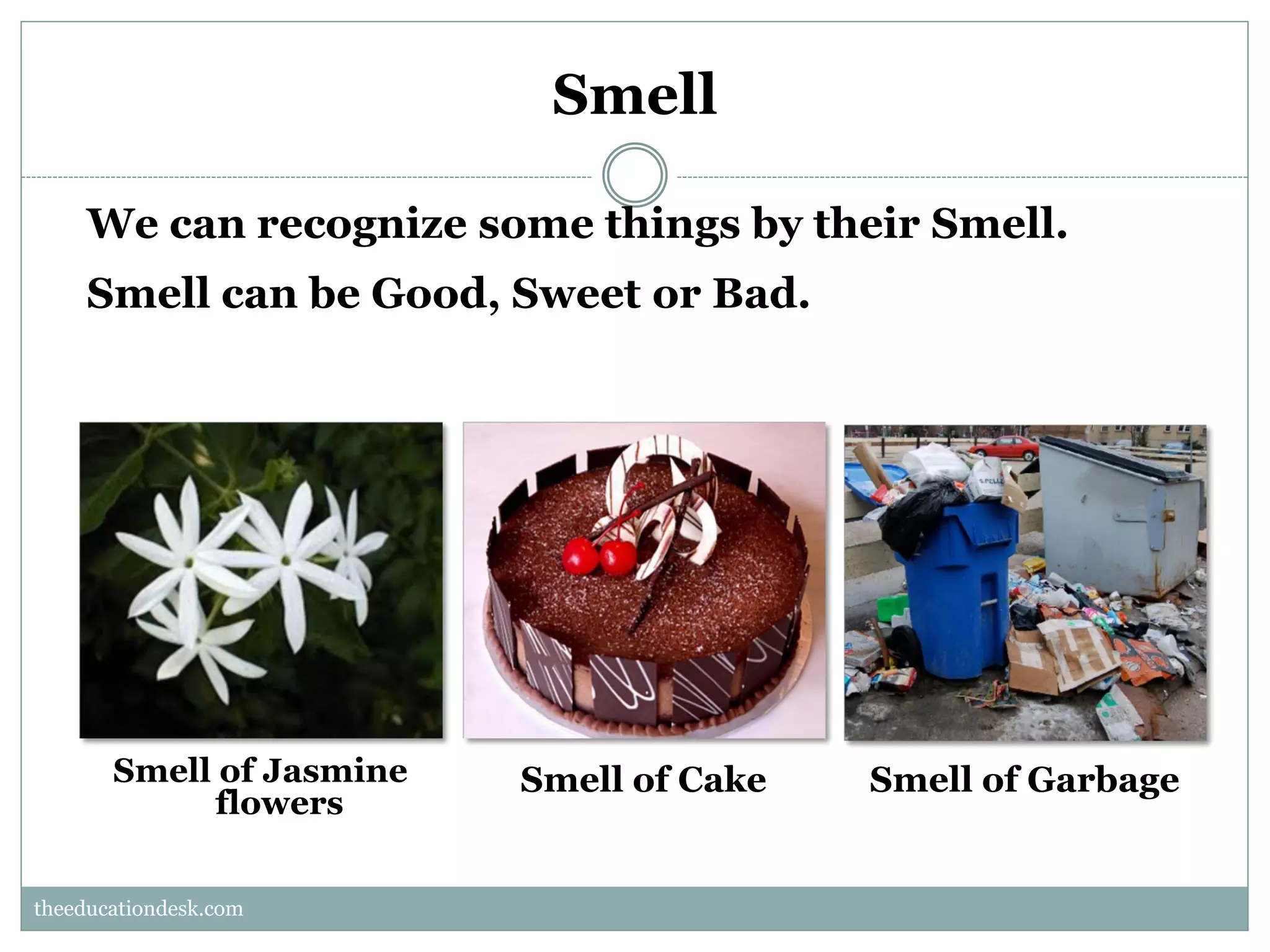 Smell
We can recognize some things by their Smell.
Smell can be Good, Sweet or Bad.

Smell of Jasmine
flowers

Smell of Cake

Smell of Garbage

theeducationdesk.com
theeducationdesk.com

 