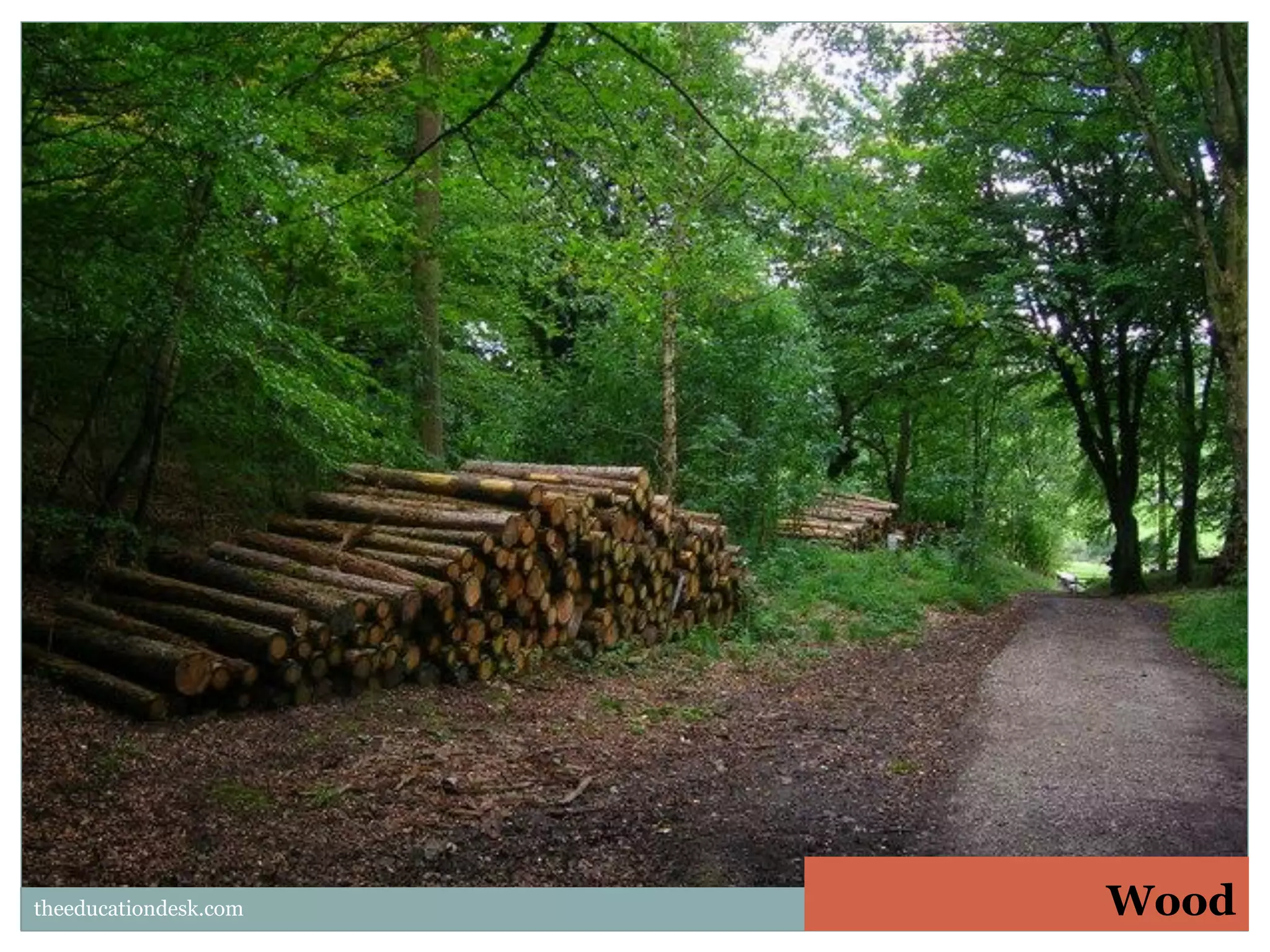 theeducationdesk.com

Wood

 