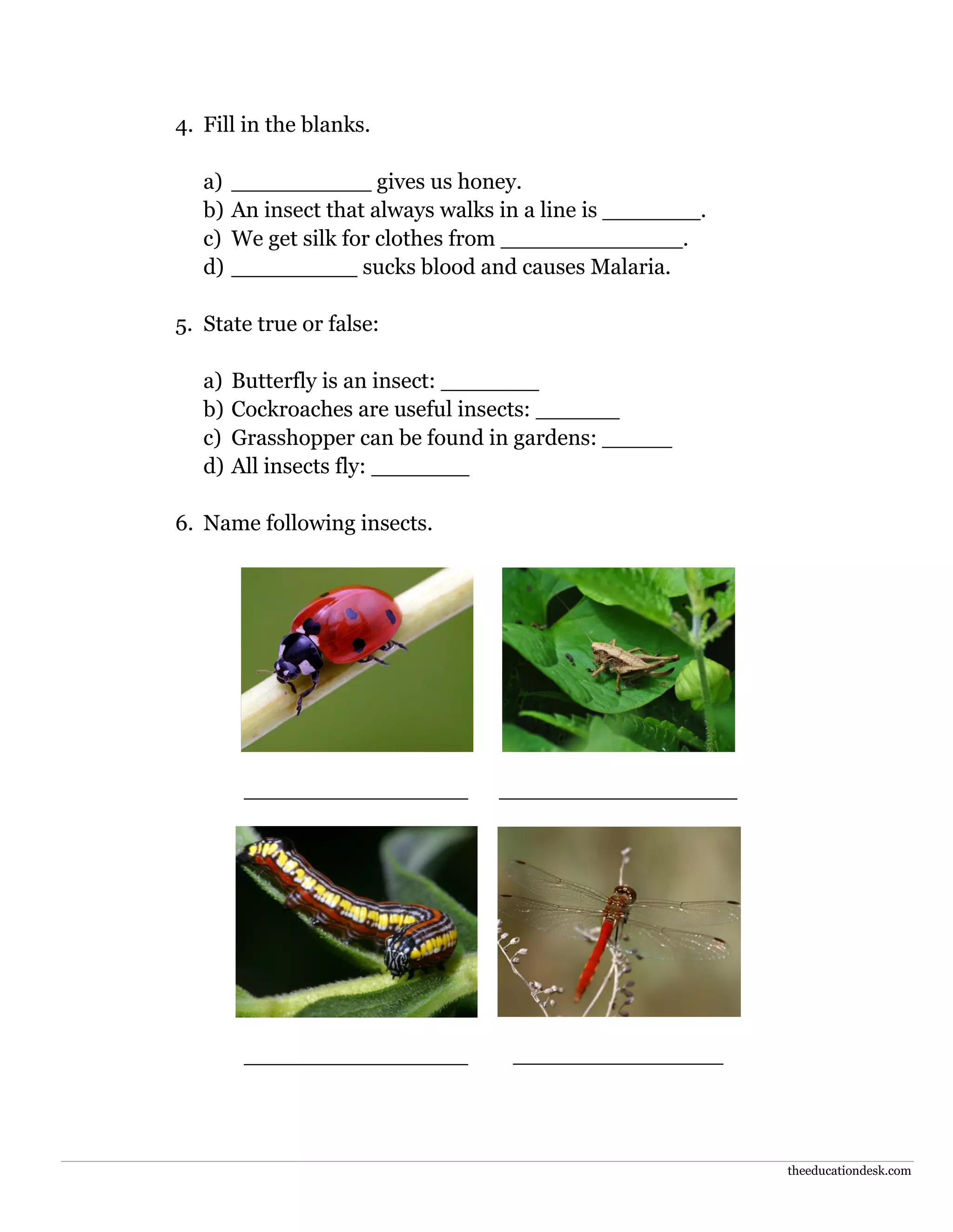 Environmental Science (EVS): Insects Worksheet (Class II) | PDF
