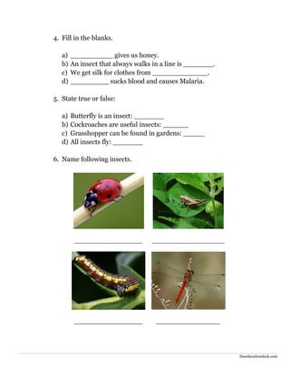 theeducationdesk.com
4. Fill in the blanks.
a) __________ gives us honey.
b) An insect that always walks in a line is _______.
c) We get silk for clothes from _____________.
d) _________ sucks blood and causes Malaria.
5. State true or false:
a) Butterfly is an insect: _______
b) Cockroaches are useful insects: ______
c) Grasshopper can be found in gardens: _____
d) All insects fly: _______
6. Name following insects.
________________ _________________
________________ _______________
 