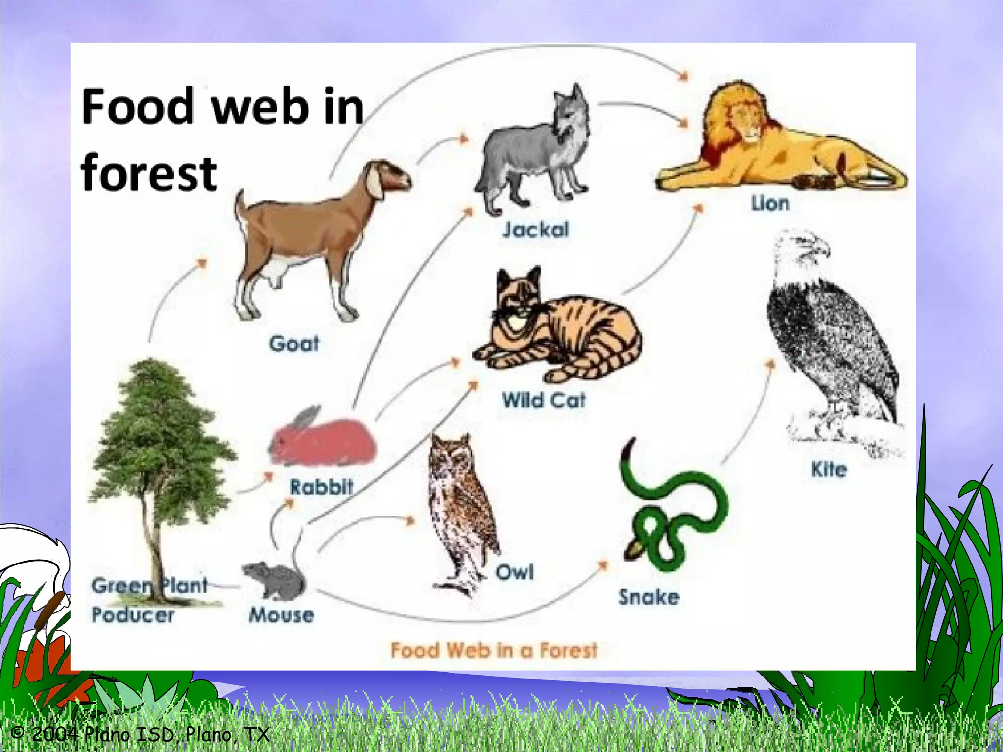 © 2004 Plano ISD, Plano, TX
 